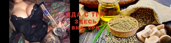 спиды Вяземский