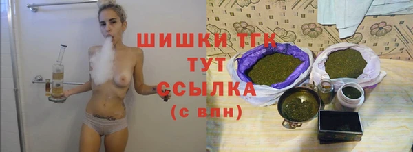 спиды Вяземский