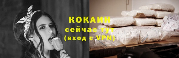 спиды Вяземский