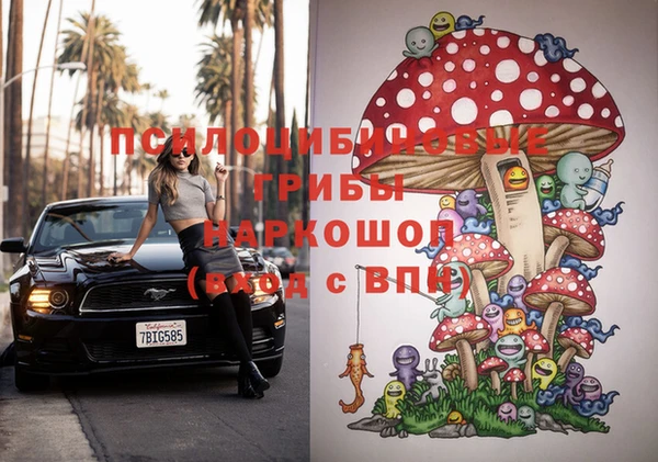 спиды Вяземский