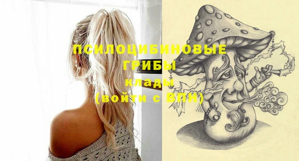 мяу мяу мука Вязьма
