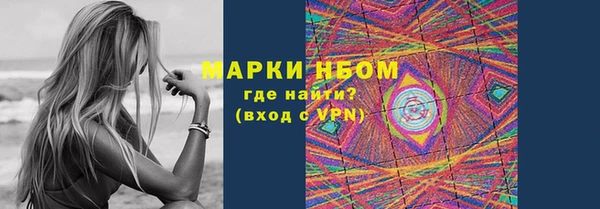 спиды Вяземский