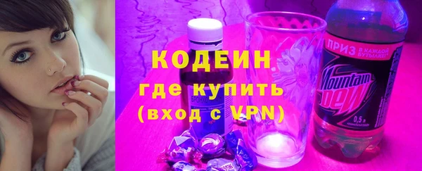 спиды Вяземский
