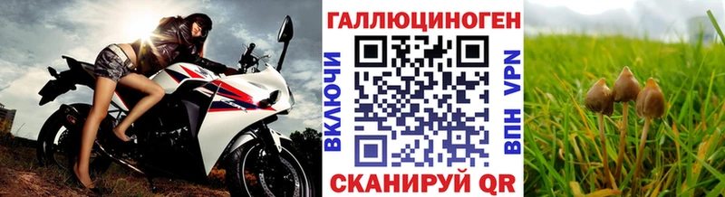 Галлюциногенные грибы прущие грибы Осташков